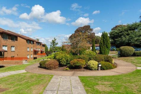 Grounds