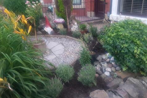 IMG-20230707-WA0286.jpeg