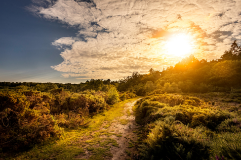 Holt Country Park