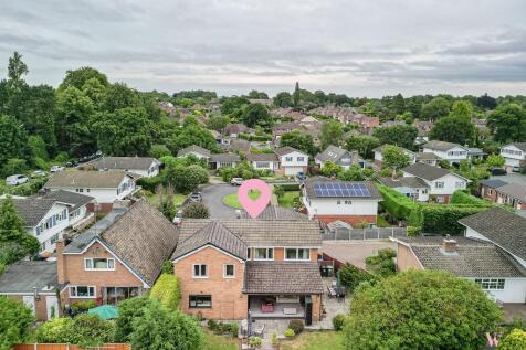 Forest close pic 2.jpg