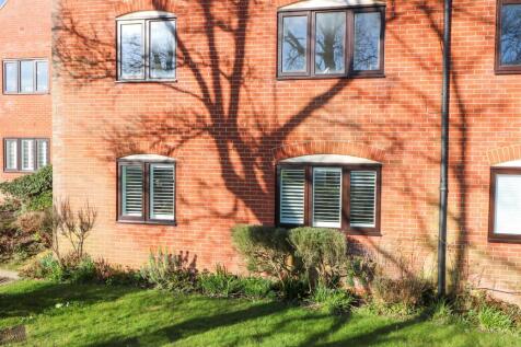 IMG_2320.jpg