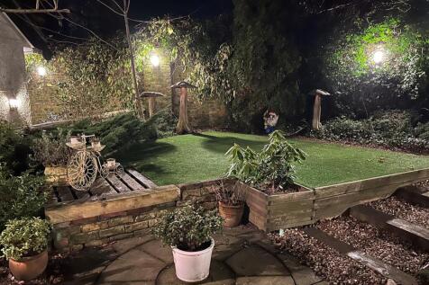 Night Shot