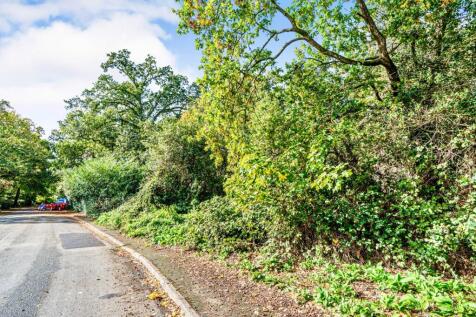 PHOTO-2025-10-05-12-12-56 T202511201452.jpg