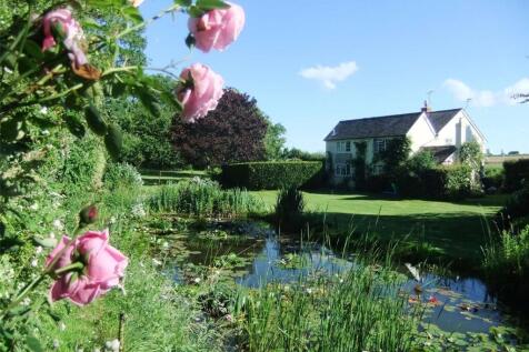 Pond and Gardens