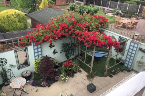 WhatsApp Image 2025-11-11 at 11.31.31.jpeg