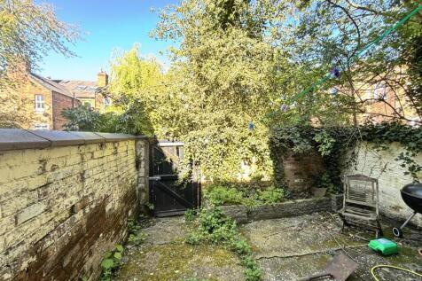 Rear Yard