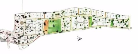 Project Plans
