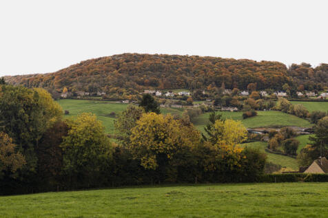 318458 - WHhr-56.jpg