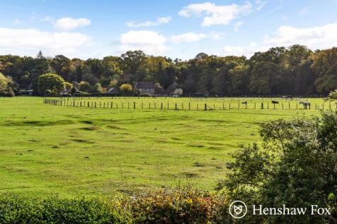 sketch_Ph24_6283640 - Copy.jpg