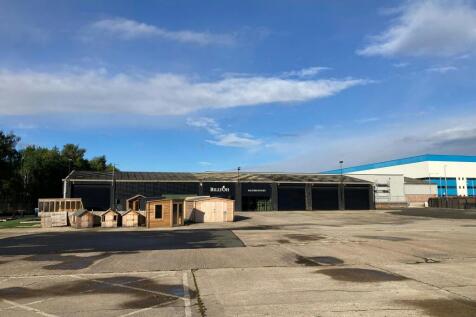 Liontrack3.jpg