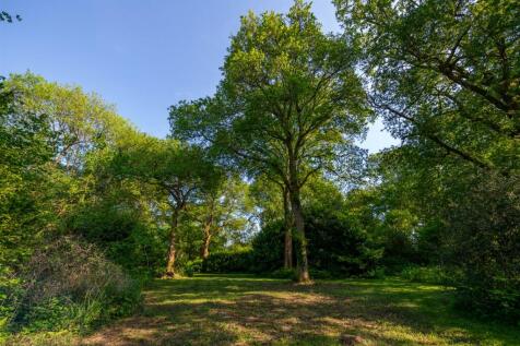 Juniper Stables woodlands-5.jpg