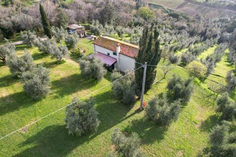 Property Image 28