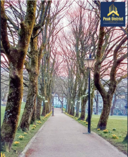 Fs T202602071913.png