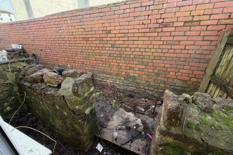 IMG 1232 T202602181604.jpg