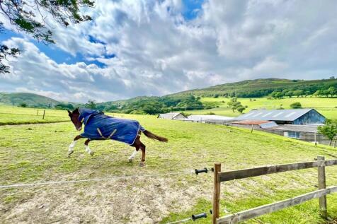 PHOTO-2024-07-16-21-38-37 (3).jpg