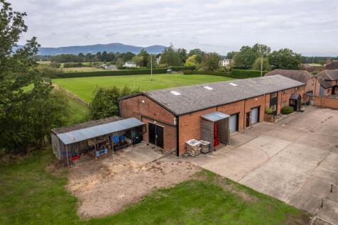 DJI_0091.jpg