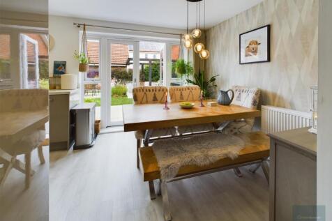 CAM02558G0-PR0203-ST