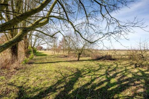 Grounds
