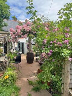 Garden in summer