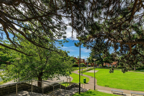 Central Park