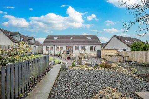 Back Garden