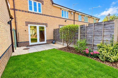 Garden image 3.png