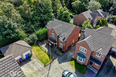 swan-2.jpg