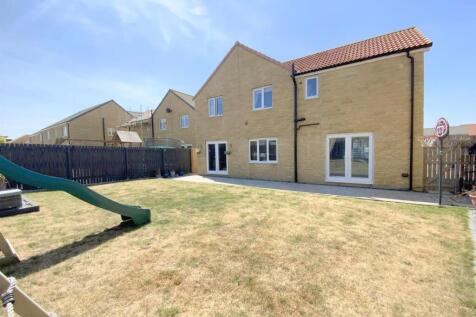 resized_IMG_2156.jpg