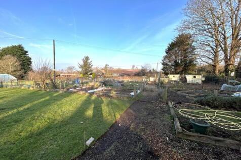 ALLOTMENT PATCH