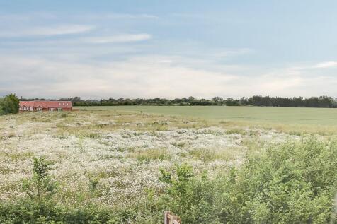 Fields