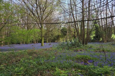 Property Image 31