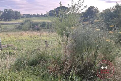 Field