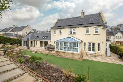Back Garden