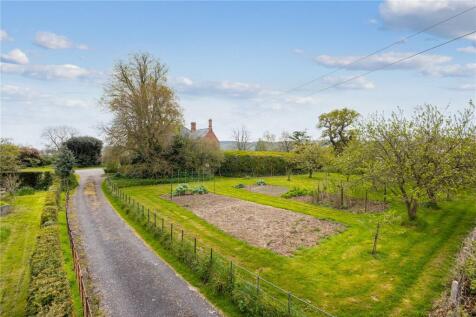 Veg Garden & Orchard