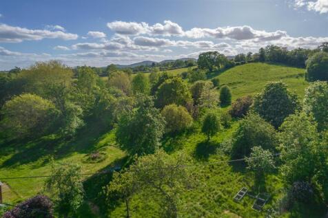DJI_0336.jpg
