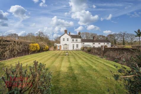 20250321-20250321-DSC07338-Edit (2).jpg