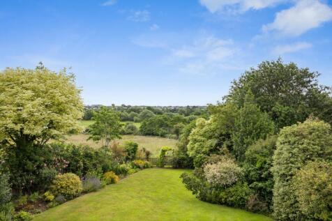 View To Meadows