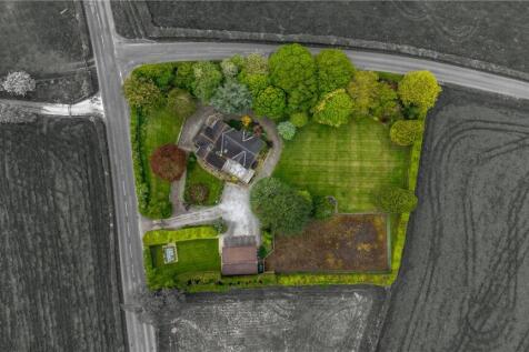 Aerial Image