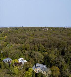 7545_007.jpg