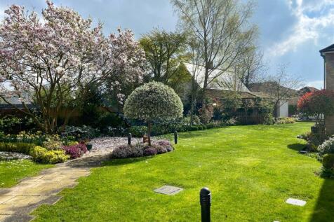 Communal Garden (Stock Photo)
