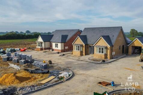 dji_fly_20250501_173956_983_1746117658083_photo_op