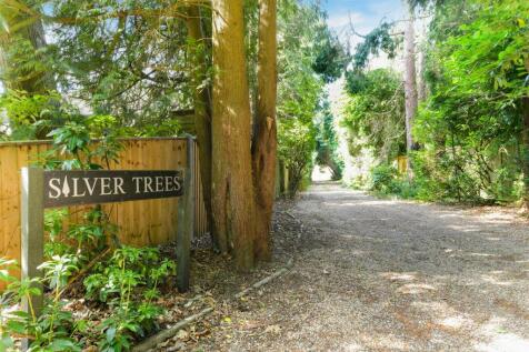 SILVER TREE EXTERNALS- (2).jpg