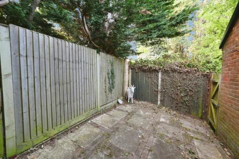 IMAGE 12