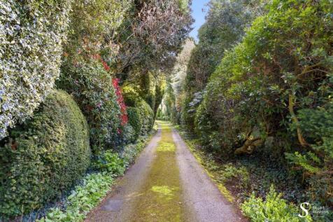 Property Image 39