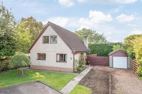 untitled (2 of 1).JPG