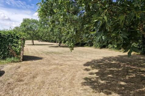 land at the back.jpg