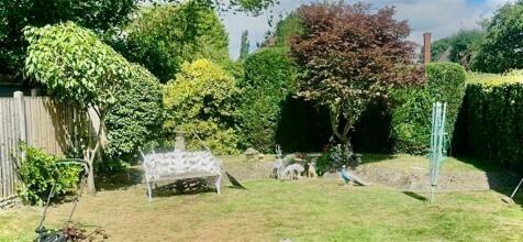 garden photo (large).jpg