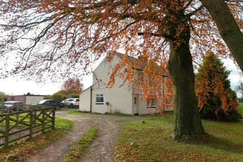 DJI_20251110120258_0113_D