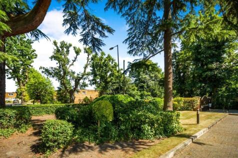 Grounds