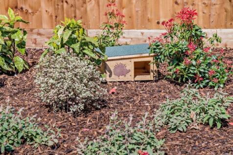 Eg. Garden